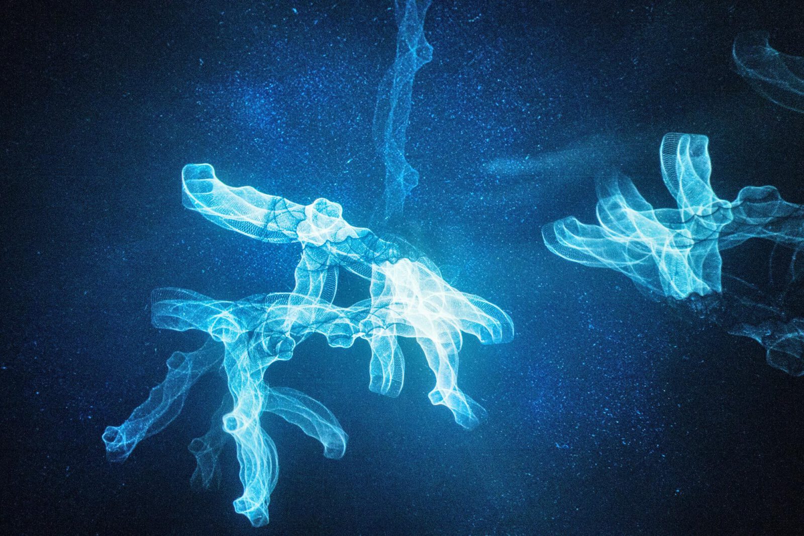 006 Arnolds DSC04581