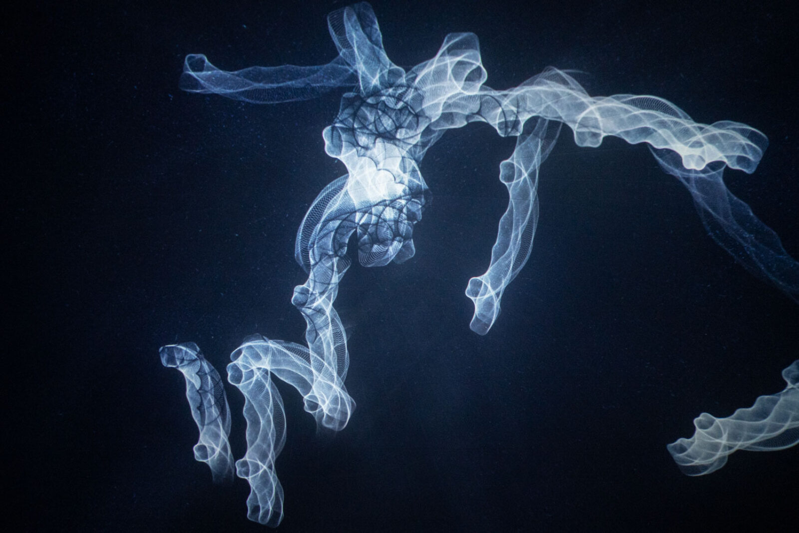 Plnaetarium RBF19 Roeler DSC04583